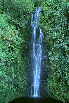Hawaii, Close-Up Of Waterfall On Mountain Side, Green Foliage, Pool Below C1653 Hawaii, Close-Up Of Waterfall On Mountain Side, Green Foliage, Pool Below C1653