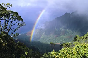 Hawaii, Kauai, Rainbow Over Kalalau Valley, Misty Clouds, Trees And Growth On Mountains Hawaii, Kauai, Rainbow Over Kalalau Valley, Misty Clouds, Trees And Growth On Mountains