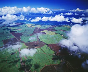 Hawaii, Maui, Aerial View Of Sugarcane Fields In Central Maui Hawaii, Maui, Aerial View Of Sugarcane Fields In Central Maui