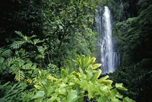 Images Dated 9th October 2001: Hawaii, Maui, Hana, Wailea Falls, Distance Surrounded By Lush Greenery