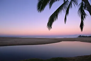 Hawaii, Mirror Like Tide Pool Near Ocean, Palm Tree Fronds Lavender Hued Dusk A32G Hawaii, Mirror Like Tide Pool Near Ocean, Palm Tree Fronds Lavender Hued Dusk A32G