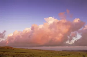 Hawaii, Molokai, Maunaloa, Molokai Ranch, Pink Clouds Over Pasture At Sunrise Hawaii, Molokai, Maunaloa, Molokai Ranch, Pink Clouds Over Pasture At Sunrise
