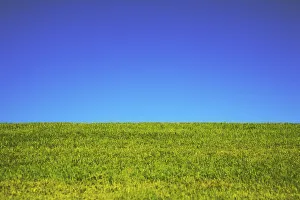 Hawaii, Oahu, Beautiful Landscape Of Green Grass And A Blue Sky Hawaii, Oahu, Beautiful Landscape Of Green Grass And A Blue Sky