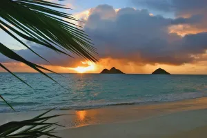 Hawaii, Oahu, Dramatic Sunrise At Lanikai Beach, Mokulua Islands, Palm Frond Hawaii, Oahu, Dramatic Sunrise At Lanikai Beach, Mokulua Islands, Palm Frond