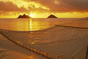 Hawaii, Oahu, Hammock Along Shoreline Sunrise, Mokulua Islands Distance Golden Light Hawaii, Oahu, Hammock Along Shoreline Sunrise, Mokulua Islands Distance Golden Light
