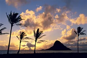 Images Dated 30th November 1998: Hawaii, Oahu, Kualoa County Beach Park, Mokoli i Island (Chinaman Hat) Silhouetted At Sunrise