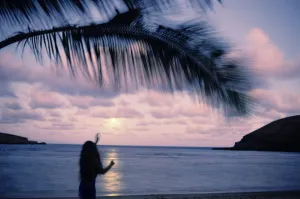 Hawaii, Oahu, Moonrise At Hanauma Bay, Hula Dancer And Palm Frond, Showing Motion Hawaii, Oahu, Moonrise At Hanauma Bay, Hula Dancer And Palm Frond, Showing Motion