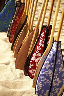 Hawaii, Paddles With Aloha Print Covers Lined Up Across Sand Hawaii, Paddles With Aloha Print Covers Lined Up Across Sand