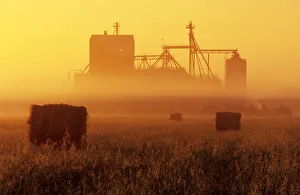Hay Field And Feed Mill In Morning Fog, Otterbourne, Manitoba Hay Field And Feed Mill In Morning Fog, Otterbourne, Manitoba
