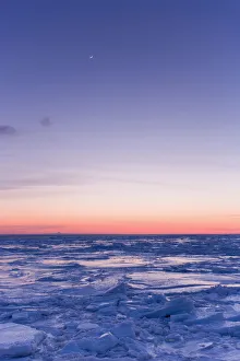 Ice Floe And Moon At Twilight, Gaspesie Region, Bonaventure, Quebec Ice Floe And Moon At Twilight, Gaspesie Region, Bonaventure, Quebec