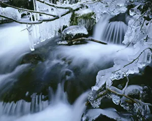 Icicles Hang Above River Chugach State Park Sc Ak Winter Scenic Icicles Hang Above River Chugach State Park Sc Ak Winter Scenic