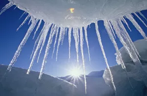 Images Dated 24th May 2002: Icicles Hanging From Iceberg On Spencer Lake Kp Alaska