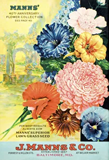 J. Manns Seed Catalog With Illustration Of Flowers From 20th Century J. Manns Seed Catalog With Illustration Of Flowers From 20th Century