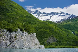 Kittiwake Rookery, Shoup Bay State Marine Park, Prince William Sound, Southcentral Alaska Kittiwake Rookery, Shoup Bay State Marine Park, Prince William Sound, Southcentral Alaska