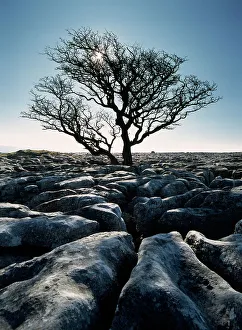 Limestone Pavement At Twisleton Scars, Yorkshire Dales National Park,North Yorkshire,England,Uk Limestone Pavement At Twisleton Scars, Yorkshire Dales National Park,North Yorkshire,England,Uk