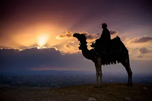 A Lone Camel And Rider Stand In Front Of The Setting Sun With The Giza Cityscape Behind A Lone Camel And Rider Stand In Front Of The Setting Sun With The Giza Cityscape Behind