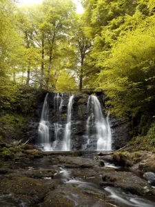 Low Angle View Of A Waterfall In A Forest, Glenariff Waterfall, County Antrim, Northern Low Angle View Of A Waterfall In A Forest, Glenariff Waterfall, County Antrim, Northern