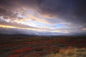 Low Clouds At Sunrise At The Arctic Circle, Yukon Low Clouds At Sunrise At The Arctic Circle, Yukon
