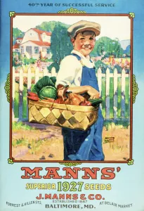 Manns Seed Catalog With Illustration Of Boy Holding Vegetables From The 20th Century Manns Seed Catalog With Illustration Of Boy Holding Vegetables From The 20th Century