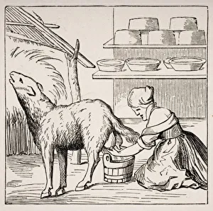 Manufacture Of Cheeses In Switzerland. 19Th Century Copy Of Woodcut In Cosmographie Manufacture Of Cheeses In Switzerland. 19Th Century Copy Of Woodcut In Cosmographie