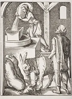 The Miller. 19Th Century Reproduction Of 16Th Century Engraving By Jost Amman The Miller. 19Th Century Reproduction Of 16Th Century Engraving By Jost Amman