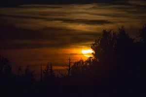 Moon rising over the Ancient Bristlecone Pine Forest, California, USA Moon rising over the Ancient Bristlecone Pine Forest, California, USA