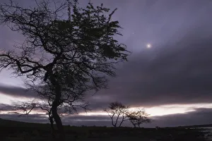The Moon Shines Through Clouds On The Southwestern Coast Of Maui; Maui, Hawaii, United The Moon Shines Through Clouds On The Southwestern Coast Of Maui; Maui, Hawaii, United