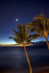 Moon And Stars In The Night Sky With Palm Trees Along The Coast In The Foreground; Maui Moon And Stars In The Night Sky With Palm Trees Along The Coast In The Foreground; Maui
