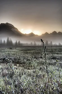 Morning Fog Hangs On The Ground Near The Copper River Highway As The Sun Rise Over The Chugach Mountains Morning Fog Hangs On The Ground Near The Copper River Highway As The Sun Rise Over The Chugach Mountains