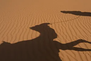 Morocco, Erg Chebbi area; Sahara Desert near Merzouga, Shadow of Berber Blue man Morocco, Erg Chebbi area; Sahara Desert near Merzouga, Shadow of Berber Blue man
