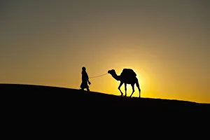 Morocco, Silhouette of Berber Blue man leading camel across sand dunes at dusk Morocco, Silhouette of Berber Blue man leading camel across sand dunes at dusk