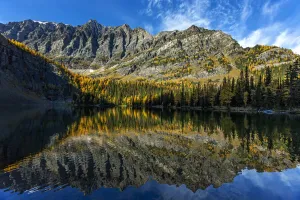 Mountain reflecting on an alpine lake with glowing yellow larch trees in the fall and blue sky and clouds Mountain reflecting on an alpine lake with glowing yellow larch trees in the fall and blue sky and clouds