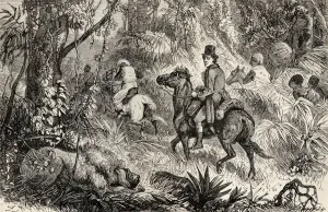 Mungo Park, 1771 To 1806, Scottish Explorer, Encountering A Lion Whilst On His Way Mungo Park, 1771 To 1806, Scottish Explorer, Encountering A Lion Whilst On His Way