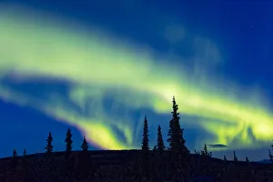 Northern Lights, Denali National Park & Preserve, Alaska, USA Northern Lights, Denali National Park & Preserve, Alaska, USA