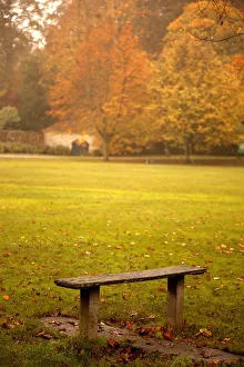 Northumberland, England; A Bench In A Park In Autumn Northumberland, England; A Bench In A Park In Autumn