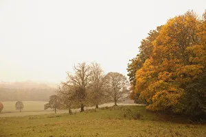Northumberland, England; A Landscape In Autumn With Fog Northumberland, England; A Landscape In Autumn With Fog