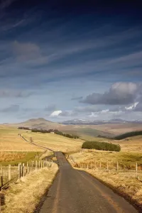 Northumberland, England; A Road With Fields On Both Sides Northumberland, England; A Road With Fields On Both Sides