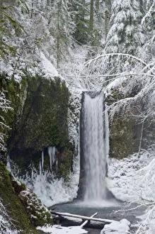 Oregon, United States Of America; Wiesendanger Falls In Winter In The Columbia River Gorge Oregon, United States Of America; Wiesendanger Falls In Winter In The Columbia River Gorge