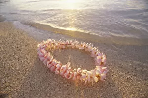 Images Dated 6th February 1999: Pale Pink Plumeria Lei In Shoreline Waters With Golden Sunset Reflections
