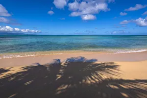 Palm Tree Shadow On a Sandy Beach, Guadeloupe, French West Indies Palm Tree Shadow On a Sandy Beach, Guadeloupe, French West Indies