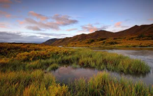 Pink Clouds At Sunrise Over The Cloudy Range, Small Stream And Fall Colours Along Pink Clouds At Sunrise Over The Cloudy Range, Small Stream And Fall Colours Along
