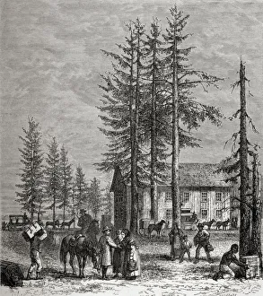 Pollard Station On Lake Donner, California, America In The 19Th Century. From El Mundo En La Mano Published 1875 Pollard Station On Lake Donner, California, America In The 19Th Century. From El Mundo En La Mano Published 1875