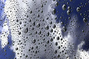 Rain Droplets On The Roof Of A Car; Edmonton, Alberta, Canada Rain Droplets On The Roof Of A Car; Edmonton, Alberta, Canada