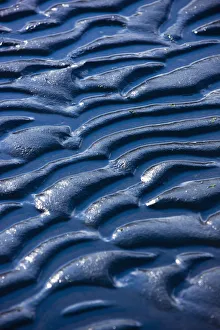 Detail Of Ripples In The Mud At Womens Bay, Kodiak Island, Southwest Alaska, Fall Detail Of Ripples In The Mud At Womens Bay, Kodiak Island, Southwest Alaska, Fall