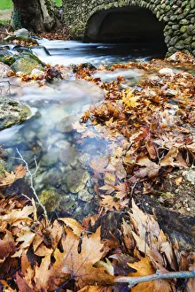 River Flowing Under Stone Bridge With Floating Autumn Coloured Leaves; Naoussa, Greece River Flowing Under Stone Bridge With Floating Autumn Coloured Leaves; Naoussa, Greece