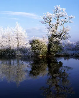 River Lagan, Lagan Meadows, County Antrim, Belfast, Ireland River Lagan, Lagan Meadows, County Antrim, Belfast, Ireland