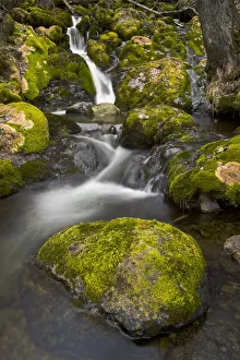 Scenic View Of Falls Creek And Waterfall With Moss Covered Rocks, Turnagain Arm, Chugach State Park Scenic View Of Falls Creek And Waterfall With Moss Covered Rocks, Turnagain Arm, Chugach State Park