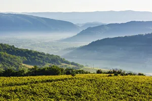 Scenic view of farmland with hazy mountains in the background at Motovun in Istria, Croatia Scenic view of farmland with hazy mountains in the background at Motovun in Istria, Croatia