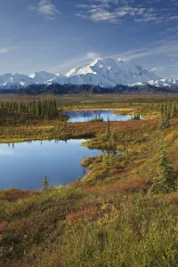 Scenic View Of Tundra Ponds And Fall Colors With Mt Scenic View Of Tundra Ponds And Fall Colors With Mt