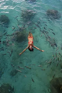 School Of Fish Encircling Woman Floating In Tropical Ocean Water School Of Fish Encircling Woman Floating In Tropical Ocean Water